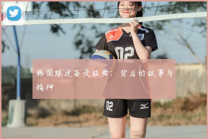韩国球迷备受鼓舞：背后的故事与精神