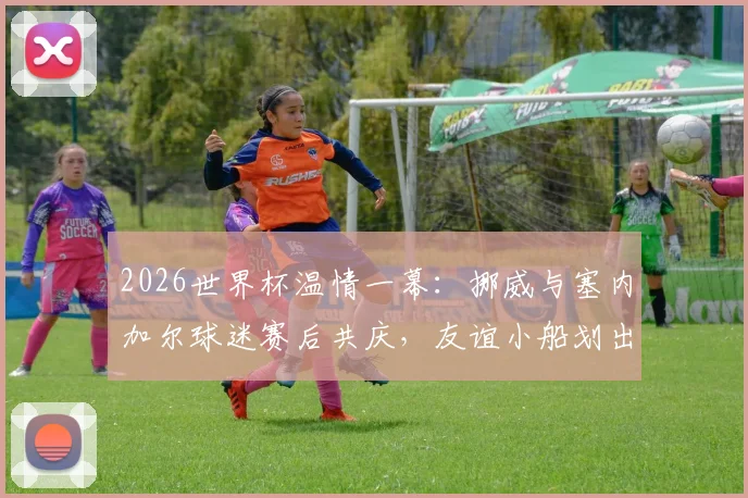 2026世界杯温情一幕:挪威与塞内加尔球迷赛后共庆,友谊小船划出体育真谛